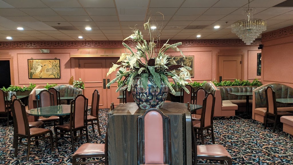 China Lite & Gas Lite Lounge 48040