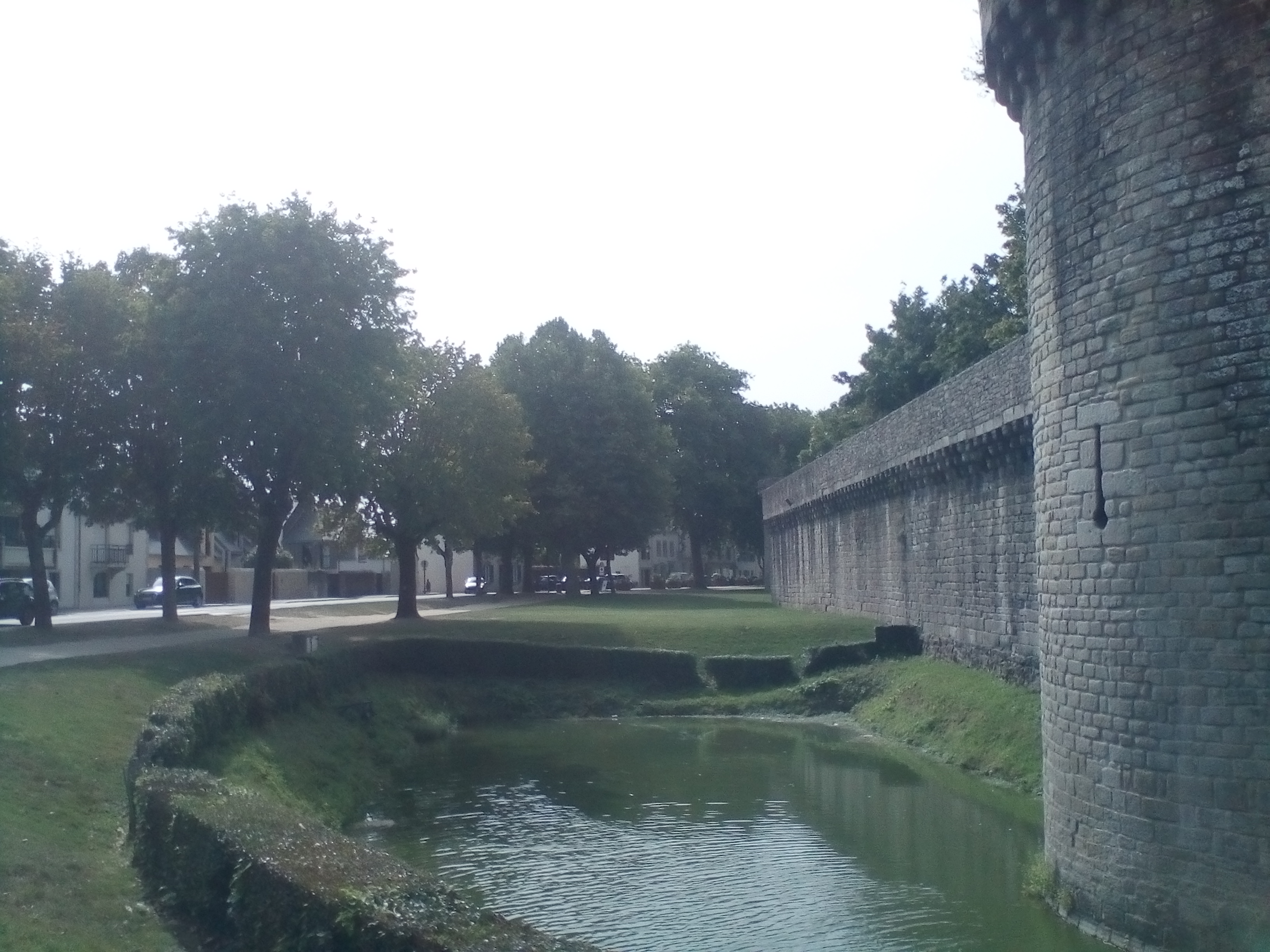 Photo n° 1 de l'avis de Barbé.e fait le 27/08/2018 à 14:14