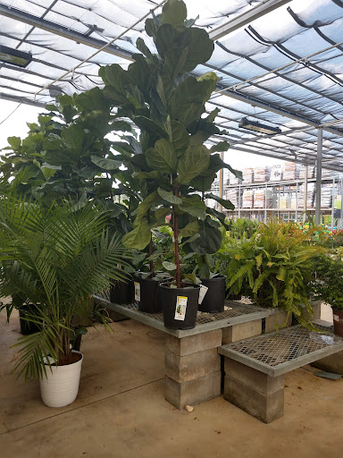 Home Improvement Store «The Home Depot», reviews and photos, 1490 Capital Cir NW, Tallahassee, FL 32303, USA