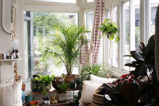 Store «Hops Petunia», reviews and photos, 73 Broadway, Kingston, NY 12401, USA