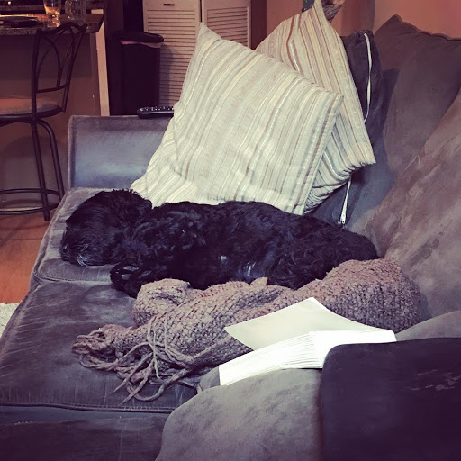 Gym «Chicago Primal Gym», reviews and photos, 1235 W Belmont Ave Unit B, Chicago, IL 60657, USA