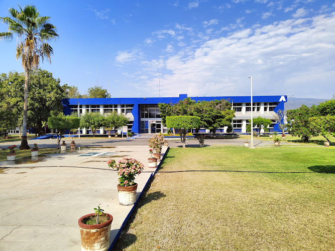 TecNM campus Apatzingán
