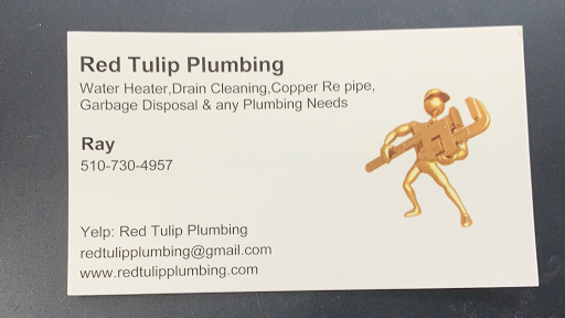 Red Tulip Plumbing