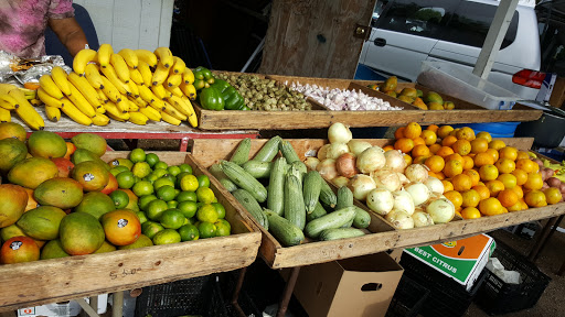 Flea Market «The Mission Market Open Air Market», reviews and photos, 207 W Chavaneaux Rd, San Antonio, TX 78221, USA