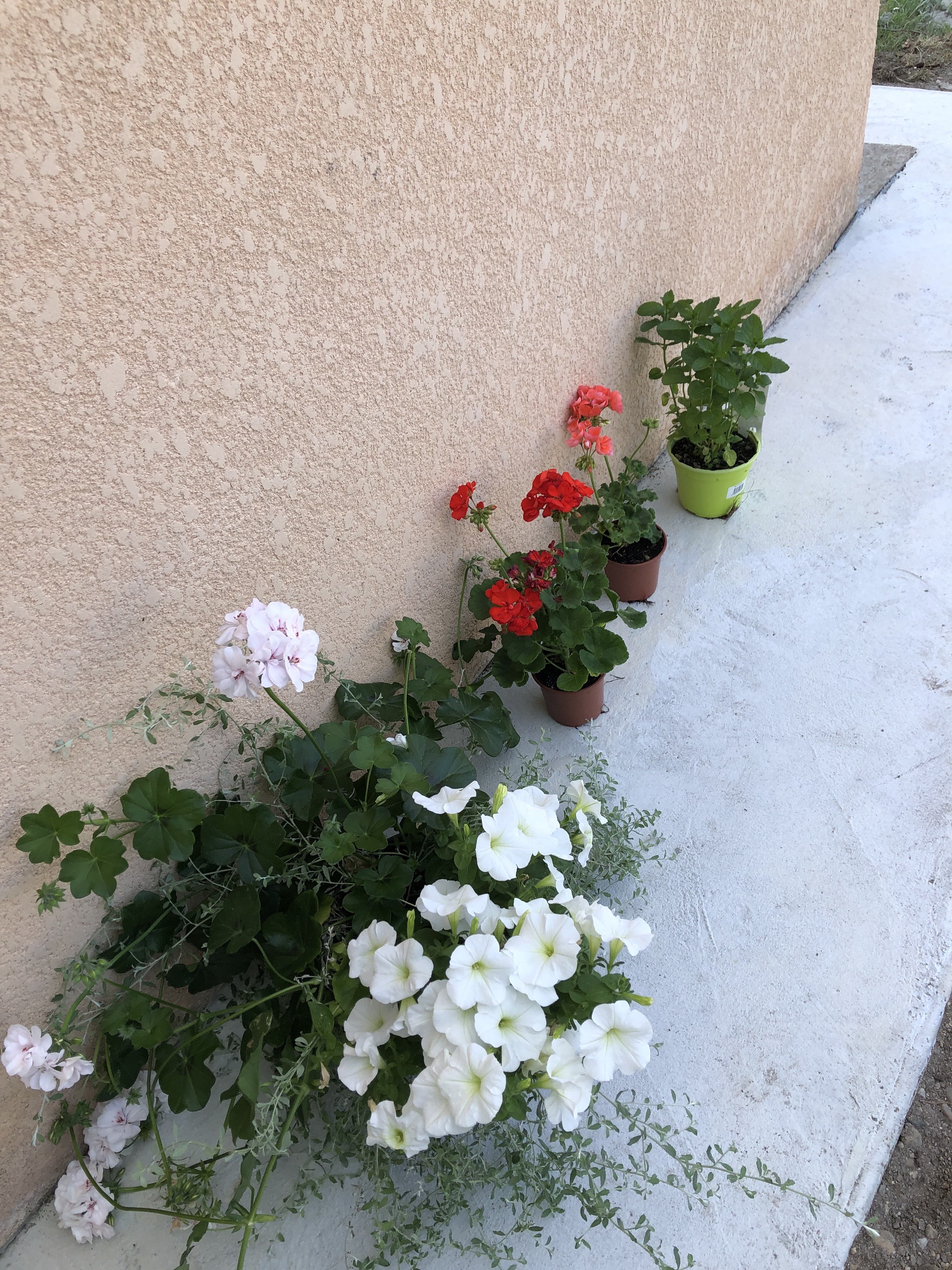 Photo n° 11 de l'avis de Radhwan.o fait le 03/06/2023 à 14:53