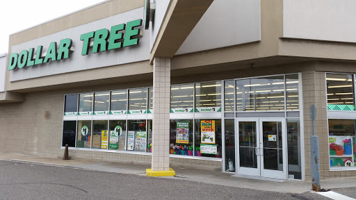 Dollar Store «Dollar Tree», reviews and photos, 30887 Orchard Lake Rd, Farmington Hills, MI 48334, USA