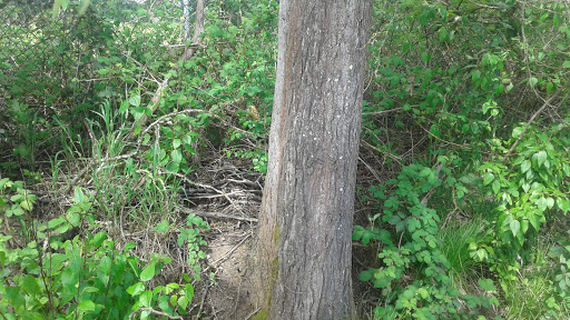 Private Golf Course «Michelbook Country Club», reviews and photos, 1301 NW Michelbook Ln, McMinnville, OR 97128, USA