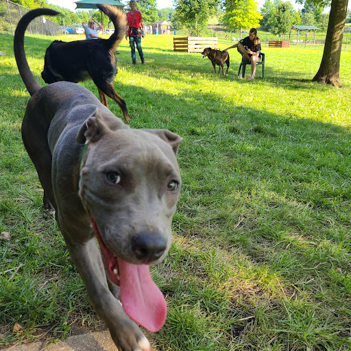 Dog Park «Worthington Off Leash Dog Park», reviews and photos, 8170 Hillsborough Rd, Ellicott City, MD 21043, USA