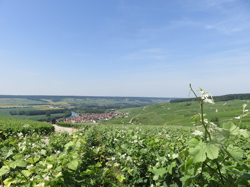 BLANC DE BULLES à Reims