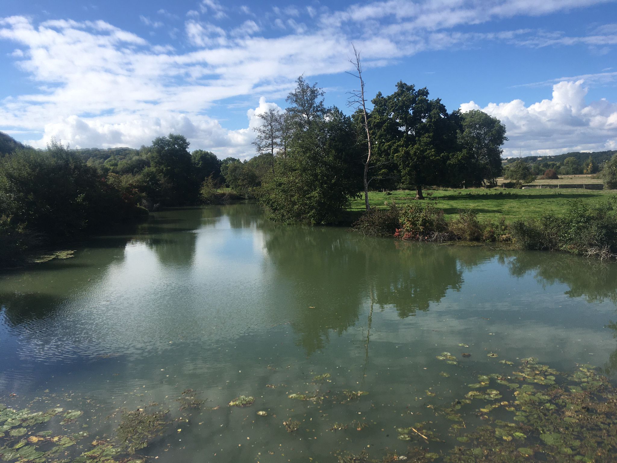 Photo n° 4 de l'avis de Sinem,.i fait le 02/10/2022 à 04:26
