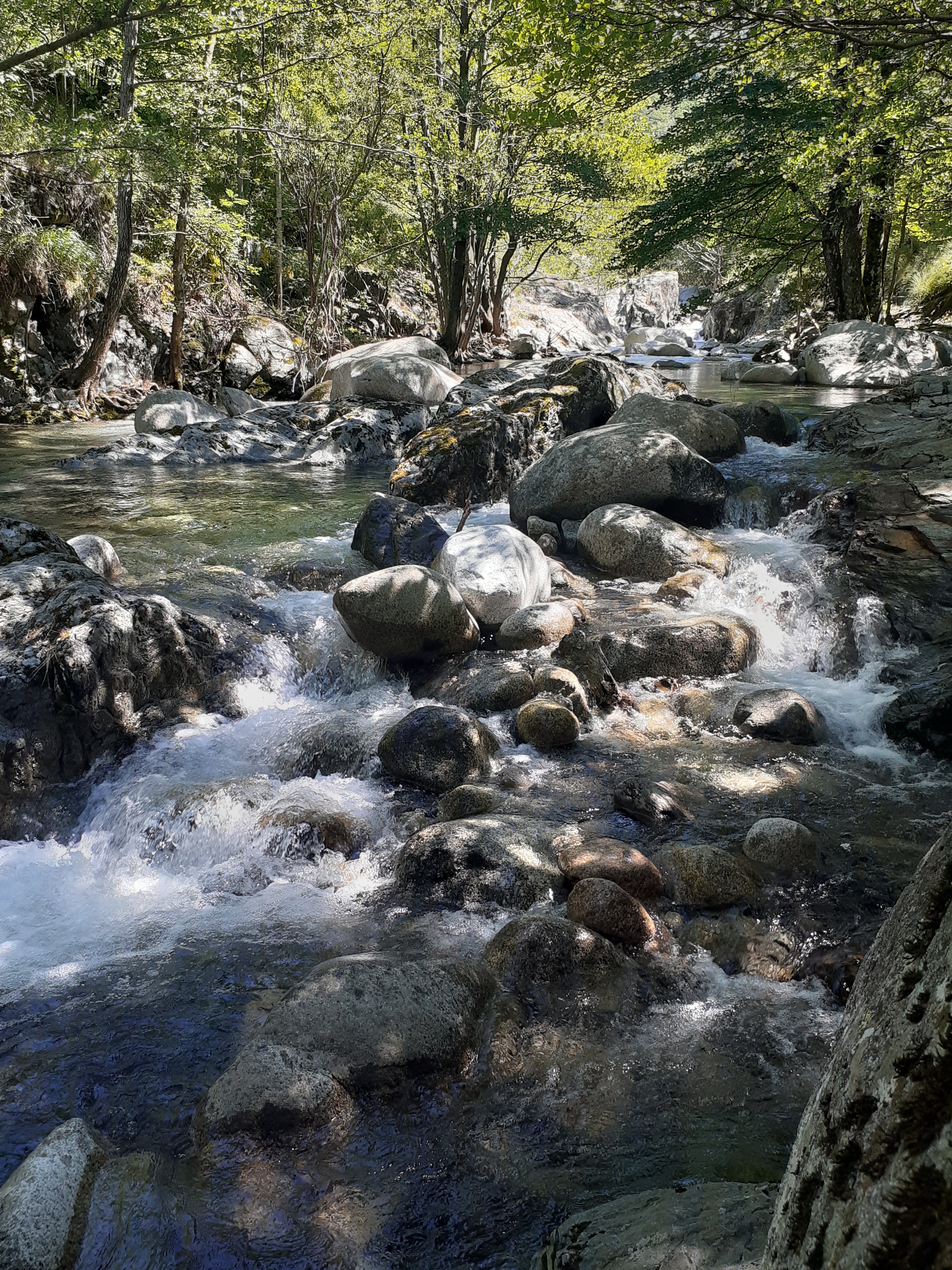 Photo n° 7 de l'avis de Chipie.o fait le 01/07/2020 à 12:51
