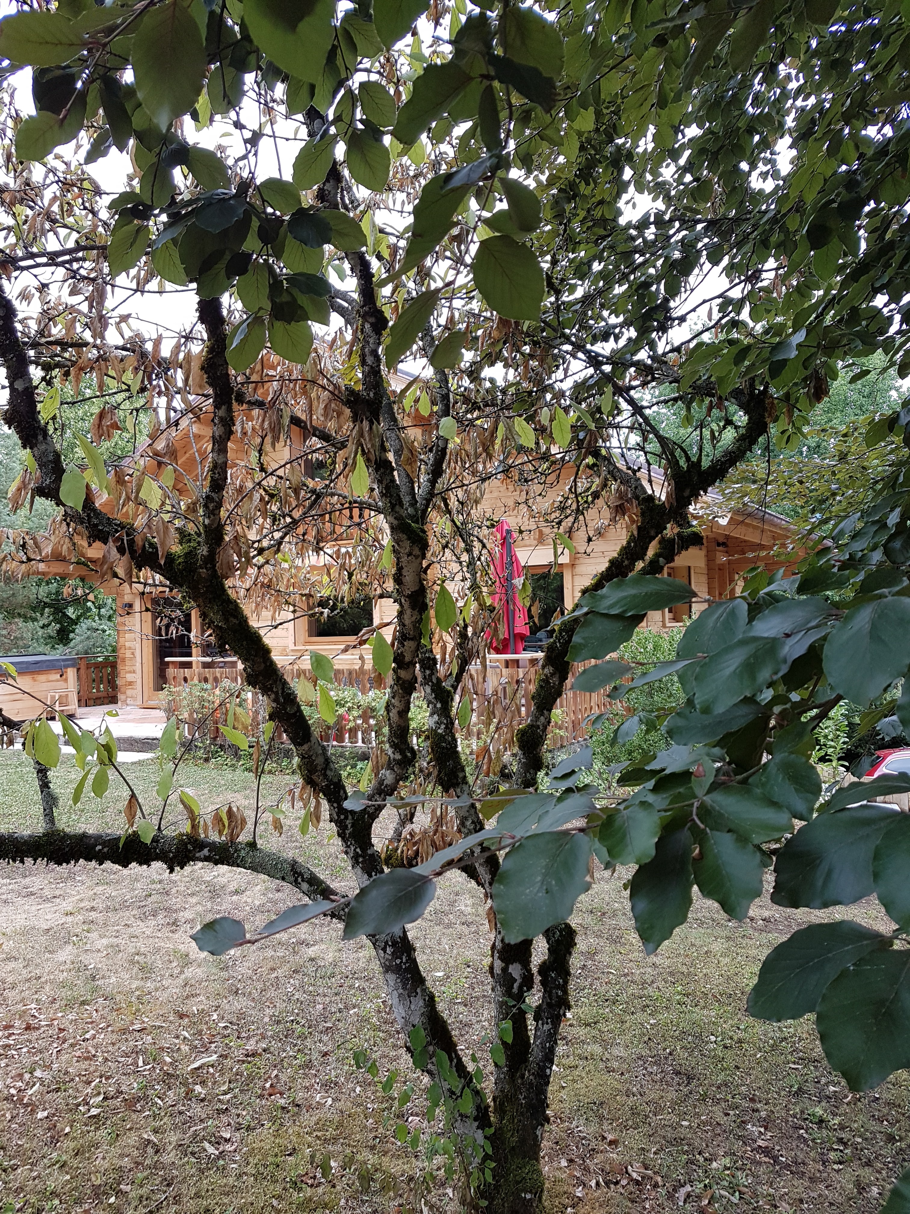 Photo n° 5 de l'avis de Véronique.e fait le 21/12/2022 à 11:03
