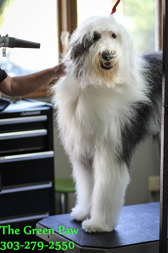 Pet Store «The Green Paw and Spaw», reviews and photos, 908 12th St, Golden, CO 80401, USA