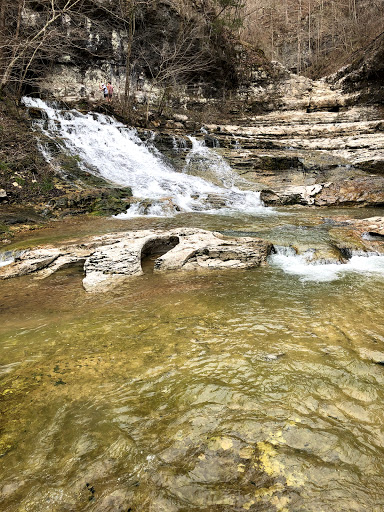 Zoo «Zoo Atlanta», reviews and photos, 800 Cherokee Ave SE, Atlanta, GA 30315, USA