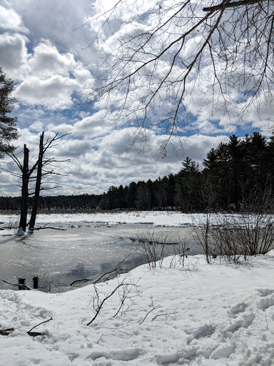 State Park «Lowell-Dracut-Tyngsborough State Forest», reviews and photos, Trotting Park Rd, Dracut, MA 01826, USA