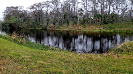 Artificial Turf Installation in Okeechobee, FL