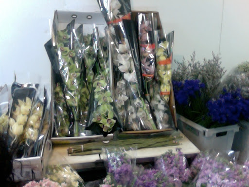 Florist «The Flower Place», reviews and photos, 860 NE 79th St, Miami, FL 33138, USA