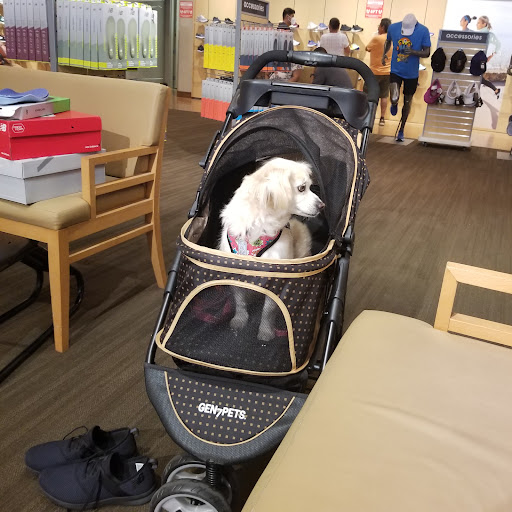 Shoe Store «New Balance», reviews and photos, 270 S Arroyo Pkwy, Pasadena, CA 91105, USA