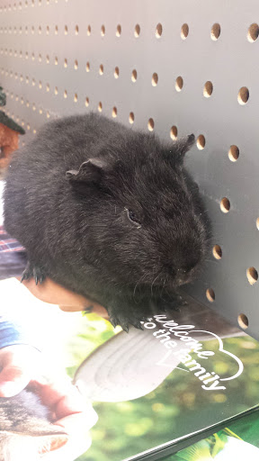 Pet Supply Store «Petco Animal Supplies», reviews and photos, 4751 W 29th St, Greeley, CO 80634, USA