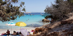 Cala Granara Plajı'in fotoğrafı doğal alan içinde bulunmaktadır