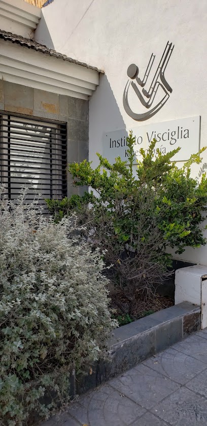 Instituto Visciglia Kinesiología