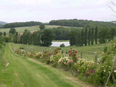 Iriseraie de Papon à Laplume