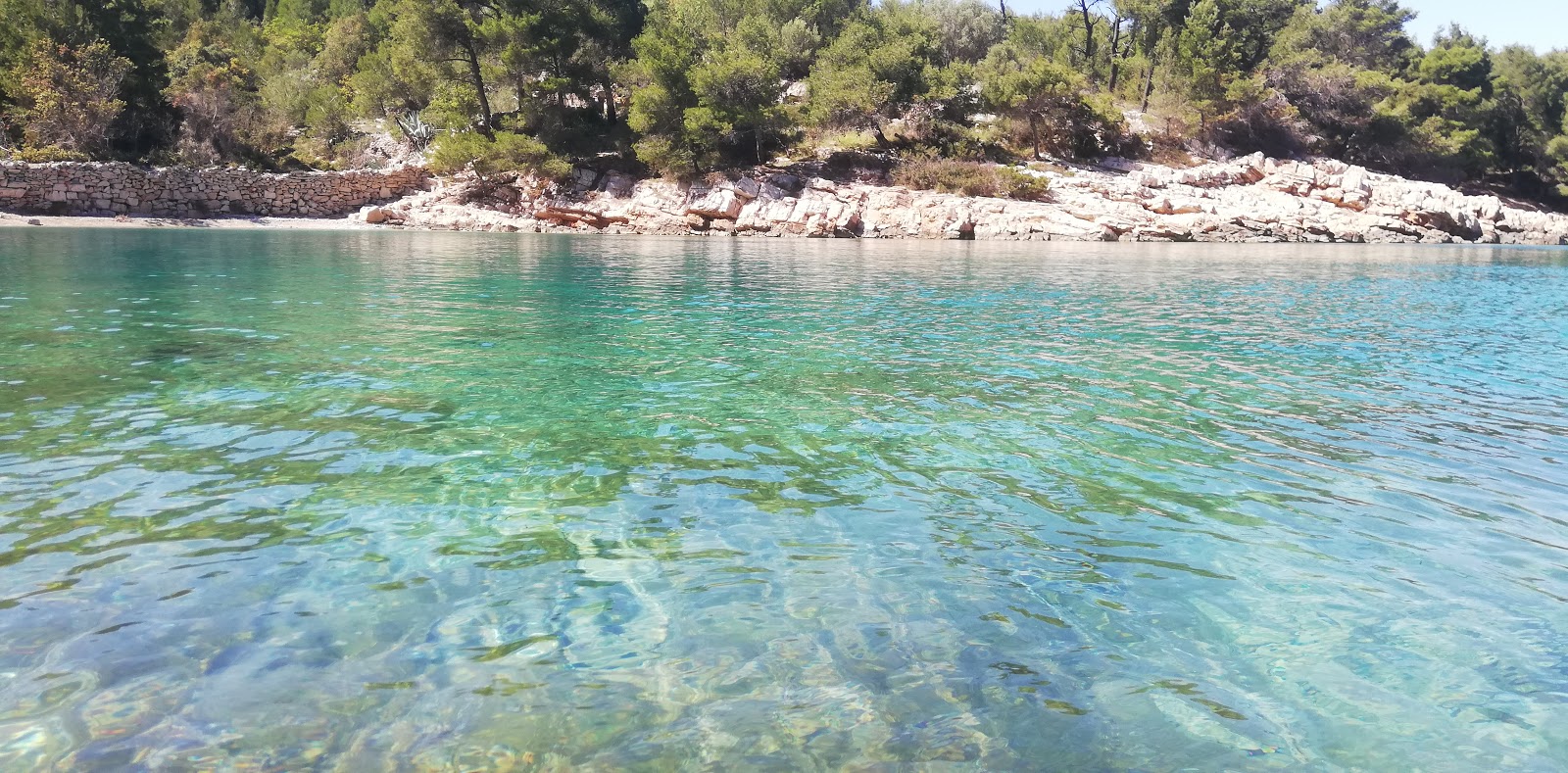 Maslinica beach'in fotoğrafı uçurumlarla desteklenmiş