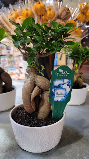 Supermarket «Giant Eagle Supermarket», reviews and photos, 3841 S Hamilton Rd, Groveport, OH 43125, USA