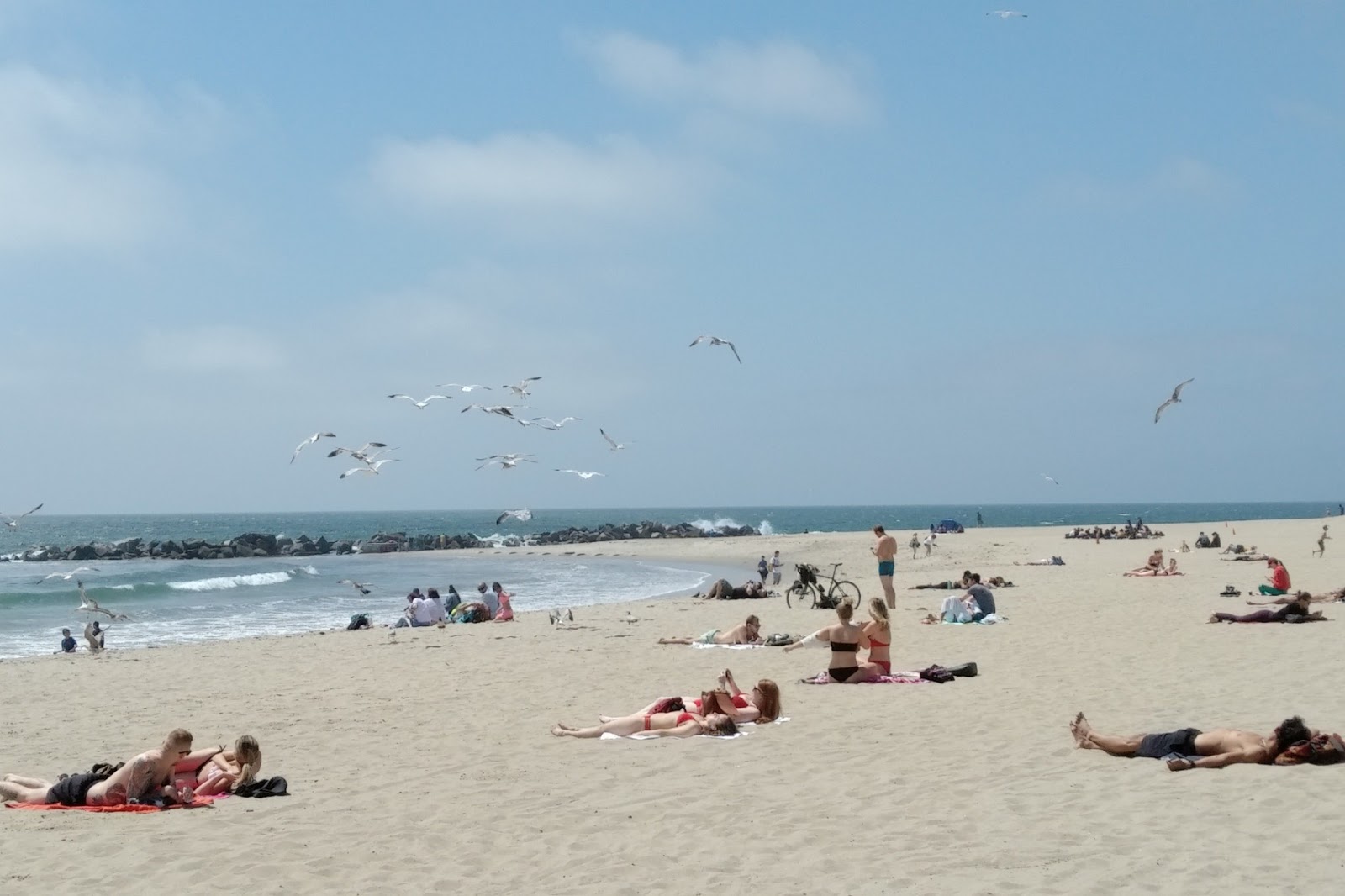 Zdjęcie Venice Beach - popularne miejsce wśród znawców relaksu