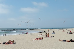 Zdjęcie Venice Beach - popularne miejsce wśród znawców relaksu