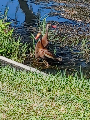 Surplus Store «Acme Industrial Surplus», reviews and photos, 1461 Kastner Pl, Sanford, FL 32771, USA