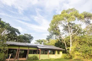 Nkima Forest Lodge image