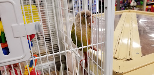 Pet Supply Store «Pet Supermarket», reviews and photos, 534 S Hunt Club Blvd, Apopka, FL 32703, USA