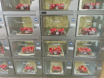 Les fraises de Rebetz à Chaumont-en-Vexin