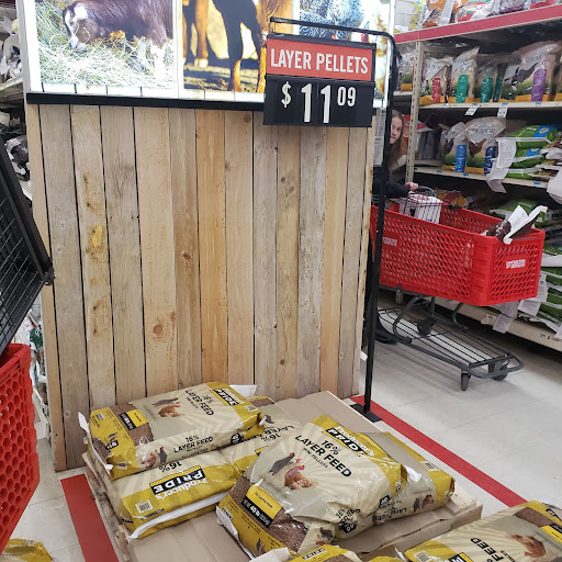 Home Improvement Store «Tractor Supply Co.», reviews and photos, 2070 S Cedar St, Imlay City, MI 48444, USA