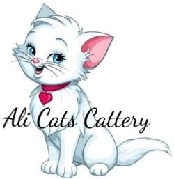 Ali Cats Cattery - Dog trainer