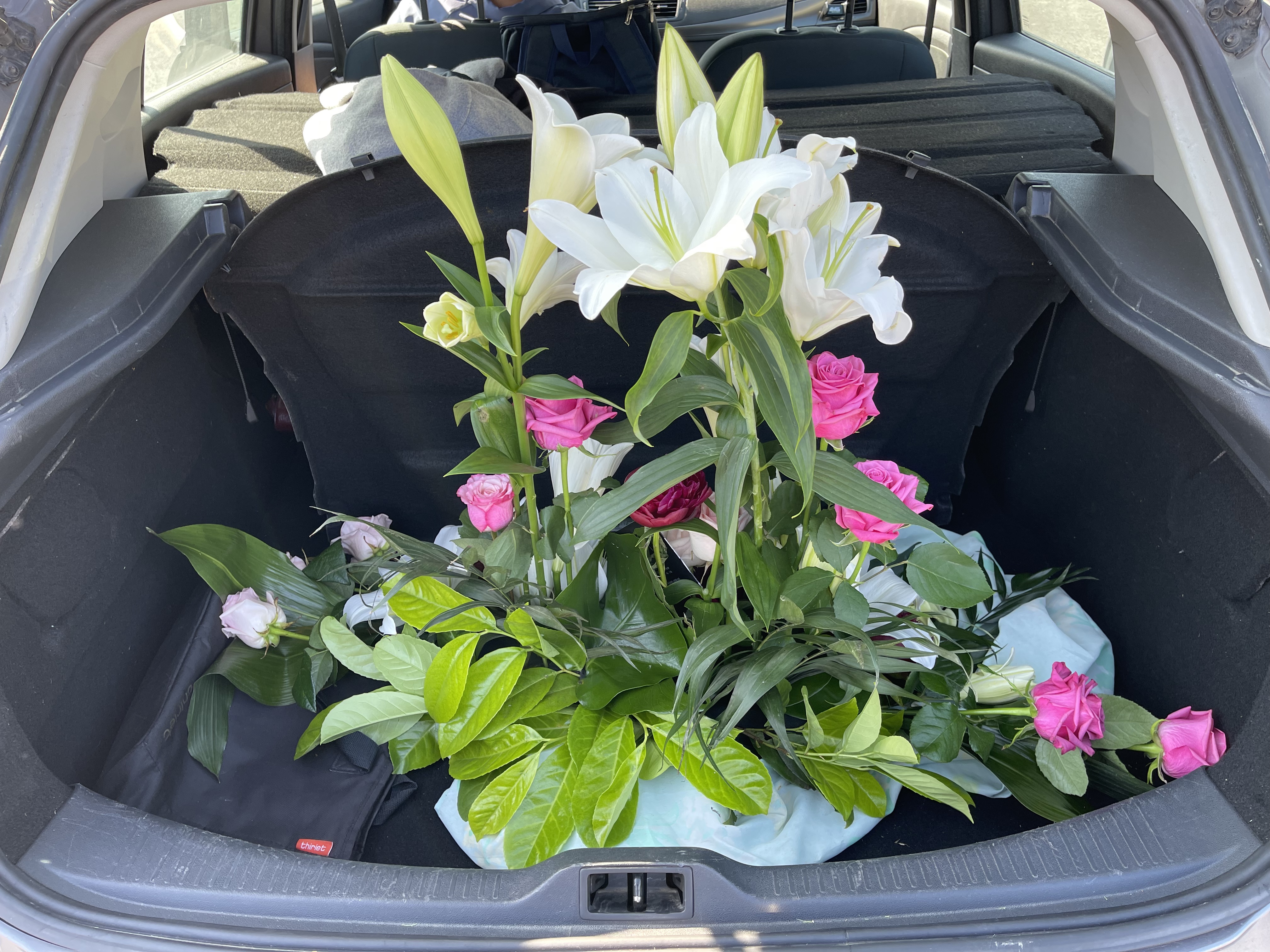 Photo n° 2 de l'avis de David.u fait le 01/06/2023 à 04:53