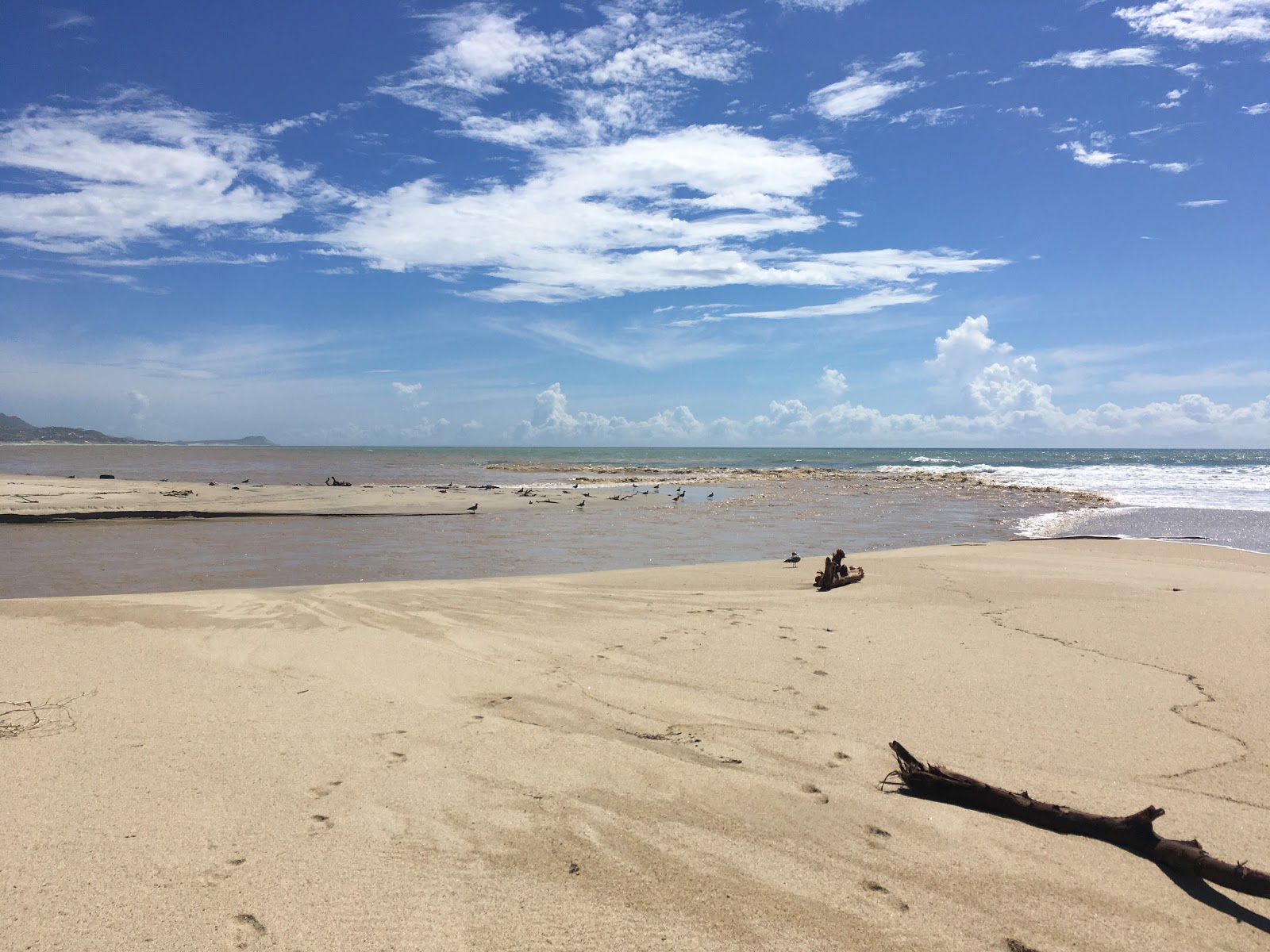 Fotografie cu Playa Del Estero - locul popular printre cunoscătorii de relaxare