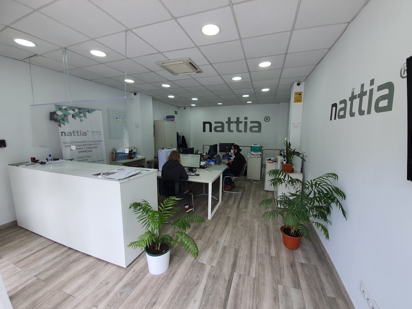 NATTIA Informática Collado Villalba y Madrid: SOPORTE a EMPRESAS, Desarrollo SOFTWARE Diseño WEB y SEO