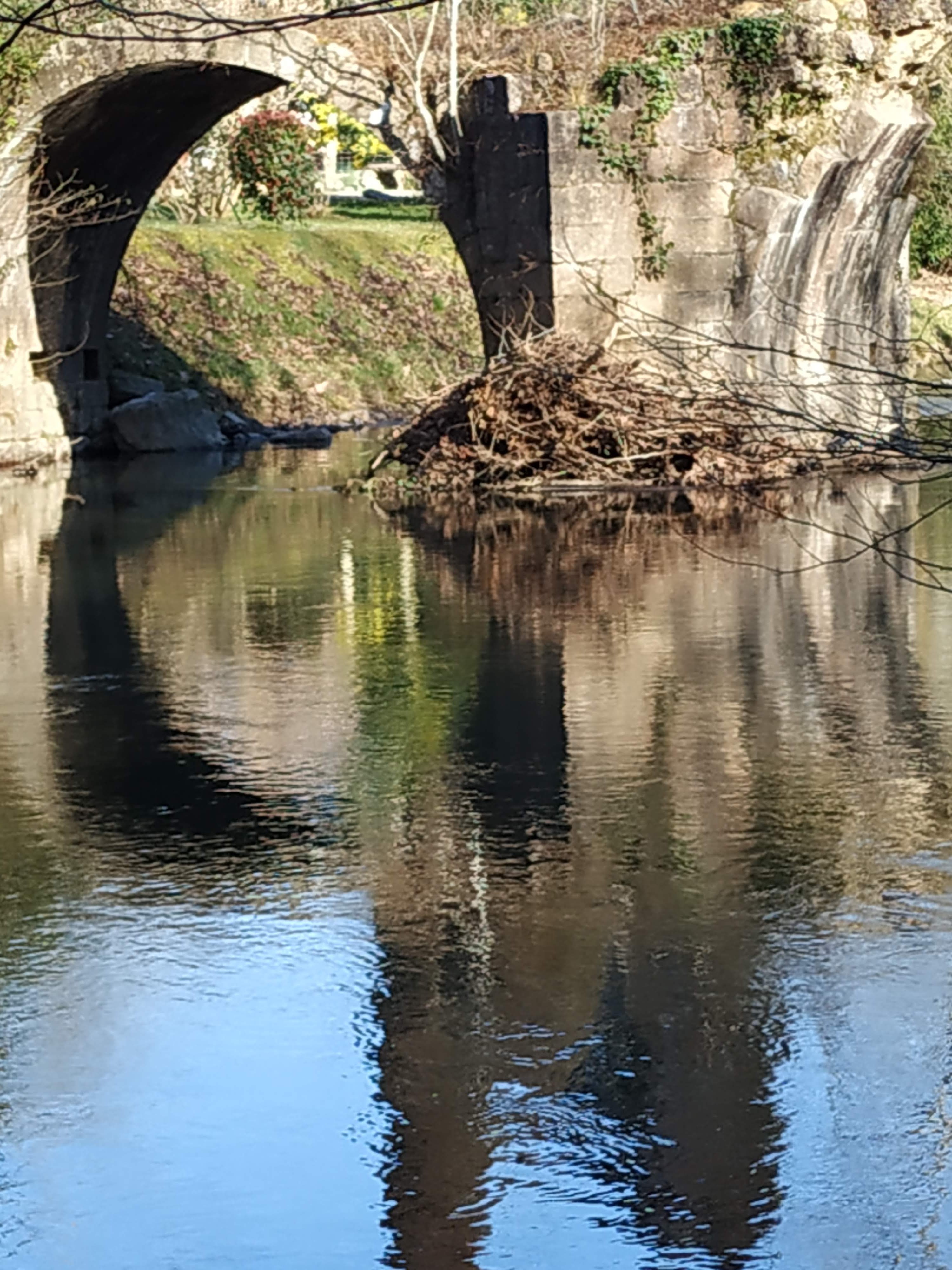 Photo n° 2 de l'avis de Franciane.o fait le 28/03/2019 à 13:50