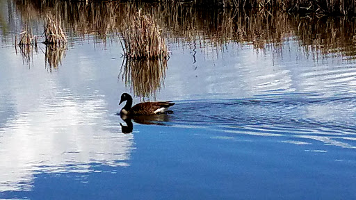 Nature Preserve «Tifft Nature Preserve», reviews and photos, 1200 Fuhrmann Boulevard, Buffalo, NY 14203, USA