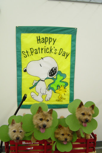 Pet Groomer «My Pal Pet Supplies & Grooming», reviews and photos, 817 W Napa St, Sonoma, CA 95476, USA