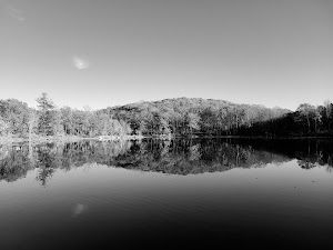 Winnekenni Park - photo 91