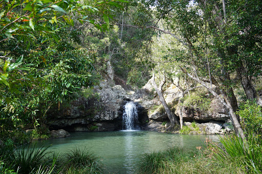 Ecological park Sunshine Coast