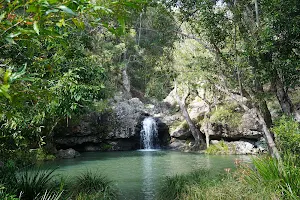 Kondalilla National Park image