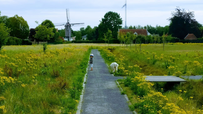 Koutermolen - Gent