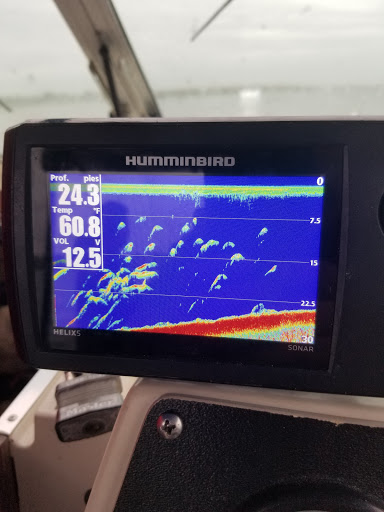 Bay End Marine New York City 1 718 444 7544