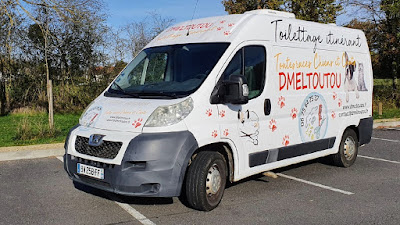 Toilettage Dmeltoutou à Moulismes