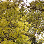 Photo n° 1 de l'avis de Aur.r fait le 18/05/2023 à 12:31 pour Parc Oriental de Maulévrier à Maulevrier