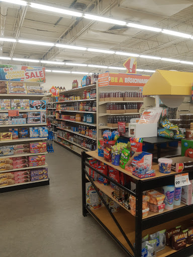 Discount Store «Big Lots», reviews and photos, 1000 N Pine St, Spartanburg, SC 29303, USA